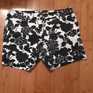 The limited shorts